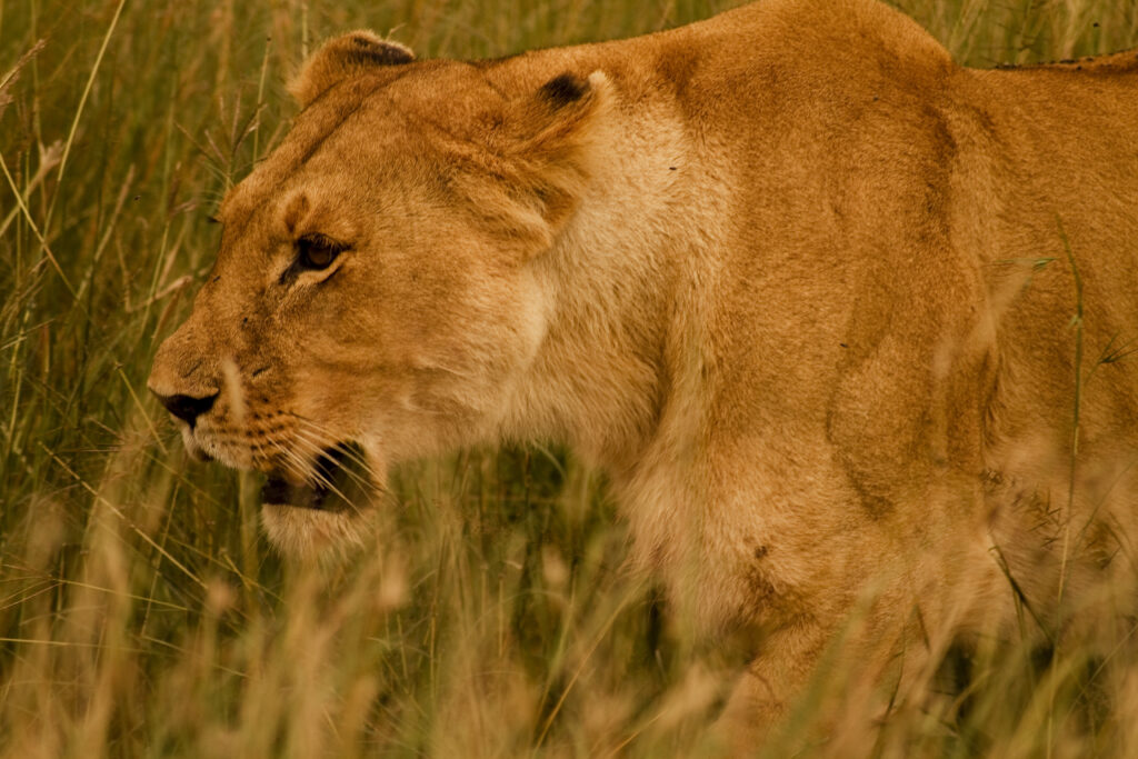 homepagecarousel21 (1)